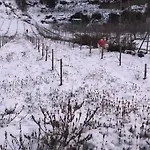 Дом отдыха Vintage Омодос