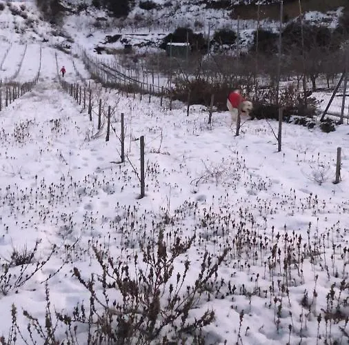 Σπίτι διακοπών Vintage Όμοδος