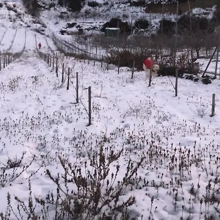 Ferienhaus Vintage Omodos