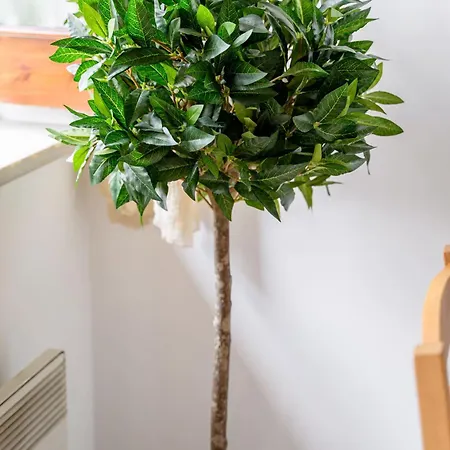 Vintage Ferienhaus *